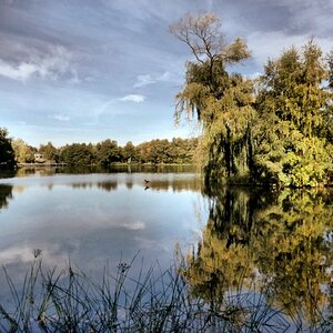Isenhagener See.jpg