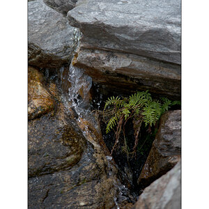 CasDSC_2525.jpg