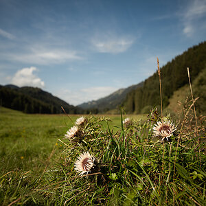 _DSC7278-Bearbeitet-1.jpg