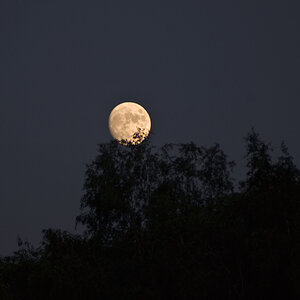2009 06 05 Mond 1