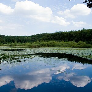 Der Roikier See - Manchmal ist das Spiegelbild hübscher als das Original