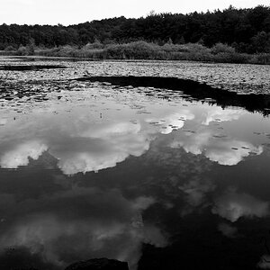 Roikiersee - hat in monochrom ein besonderes Flair