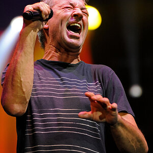 Deep Purple 12