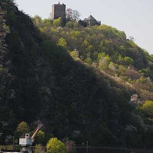 burg rheineck