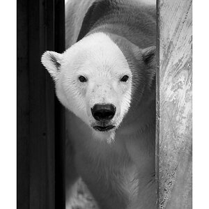 Stuttgart
Zoo "Wilhelma"