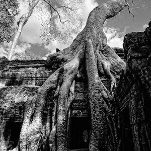 Ta Prohm