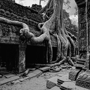 Ta Prohm