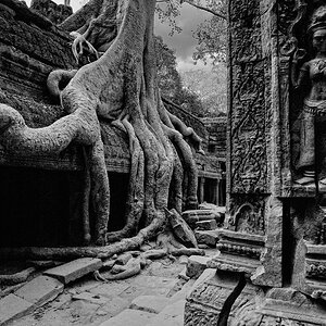 Ta Prohm