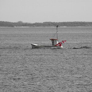 DSC 3312 CK