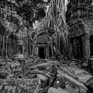 Ta Prohm