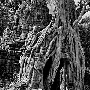 Angkor