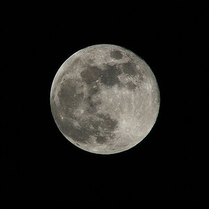 vollmond22012008