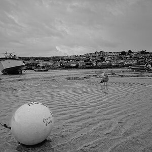 St Ives (Cornwall)