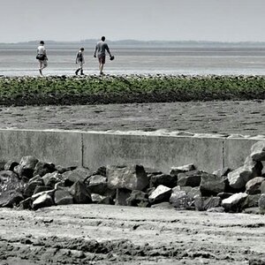 Rote Boje am grünen Schutzwall.jpg