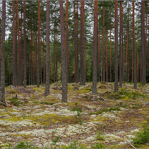P8220848.jpg