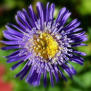 aster_1200.jpg
