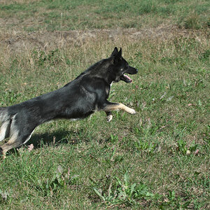 DSC_2713.jpg