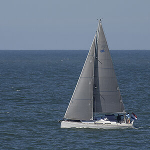 _DSC0371PAxl.jpg