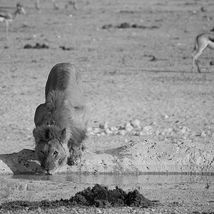 P1060721sklein_sw.jpg