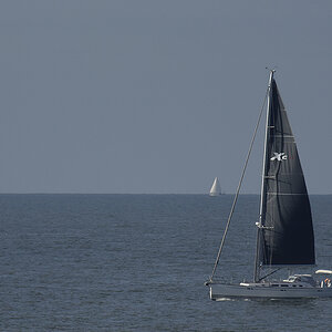_DSC0407PAxl.jpg