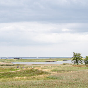 20190804-D50_3388.jpg