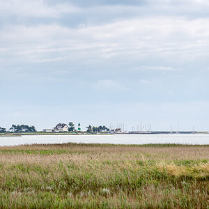 20190804-D50_3426.jpg