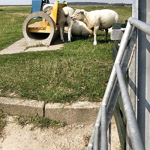 _Die Bank auf dem Deich in Husum mit Blick ins Land.jpg