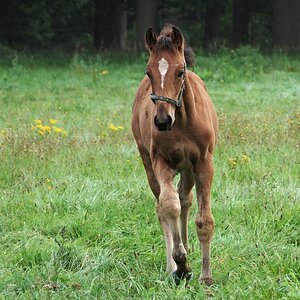 _IMGP3230  Jung und neugierig.jpg
