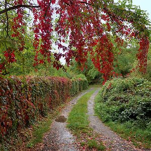 P1012229aklein.jpg