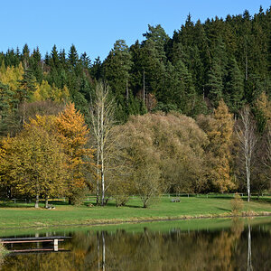 DSC_6871.JPG