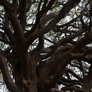 20111024_130349nf.jpg