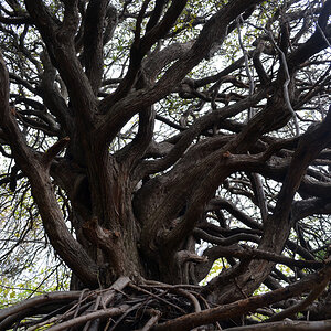 20111024_130353nf.jpg
