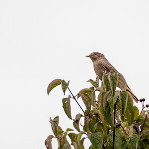 20190924-D50_4538.jpg