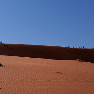 P1011738aklein.jpg