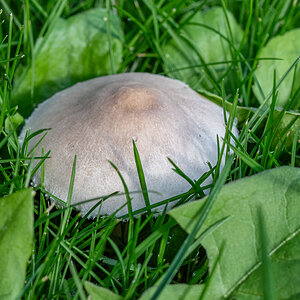 OF2_33172.jpg