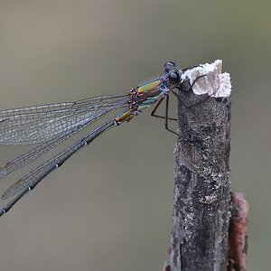 AK3_6424