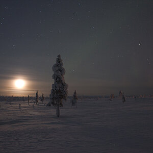 Vollmond.jpg