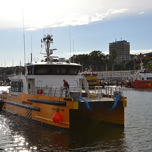 183103nf.jpg