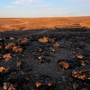 P1011711aklein.jpg