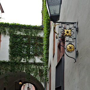 DSC_9864.jpg
