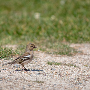 20190513-D50_0025.jpg