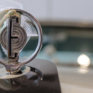 Edsel Pacer Detail