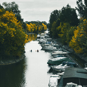 Herbst am Rhein