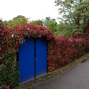 P1012231aklein.jpg