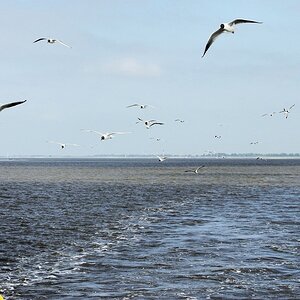 Cuxhaven ade.jpg