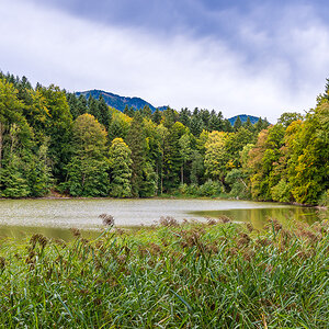 _D725035.jpg