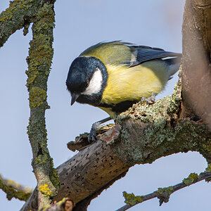 OF2_33363.jpg