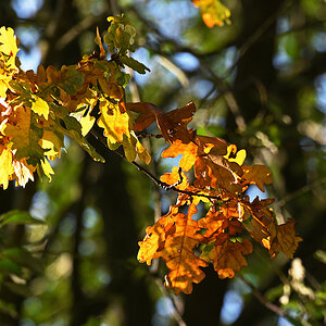 811_4758at5l10fks70p1.jpg