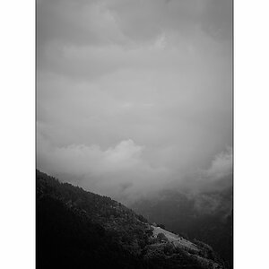 Cas10D4F_1494.jpg