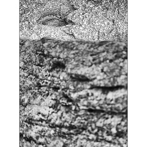 Cas10D4F_1497.jpg